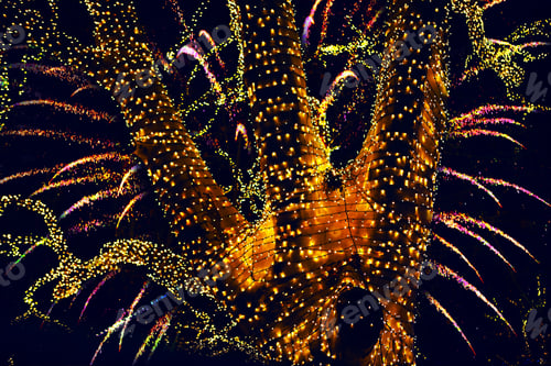 Preview: Tree With Garlands And Fireworks On Background . Street Design In Christmas Night