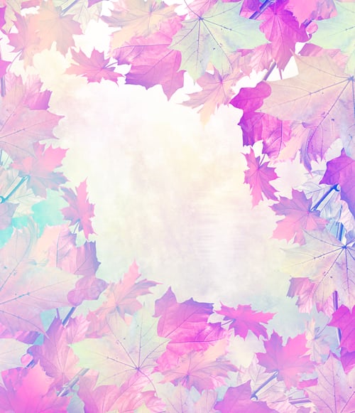 Preview: Autumn Foliage. Yellow Maple Leaves