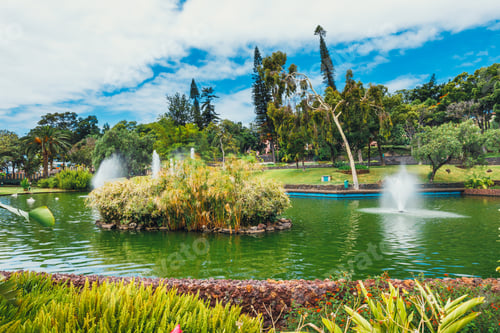 Preview: A View Of A Tropical Garden In The City Of Funchal, Madeira