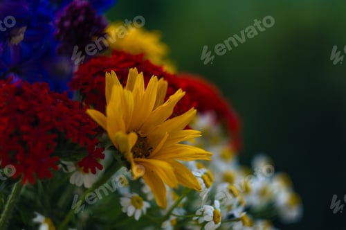 Preview: A Bouquet Of Bright Spring Flowers Of Various Types