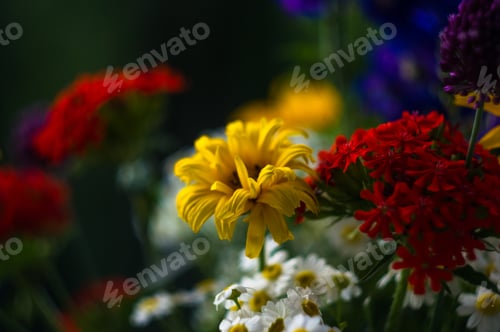 Preview: A Bouquet Of Bright Spring Flowers Of Various Types