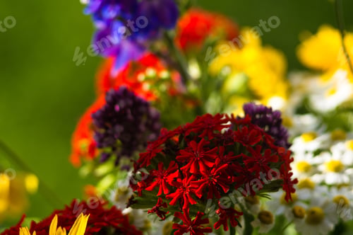 Preview: A Bouquet Of Bright Spring Flowers Of Various Types