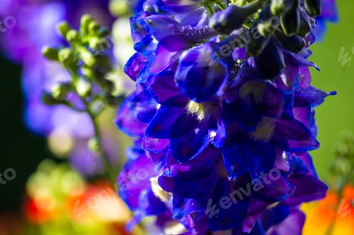 Preview: A Bouquet Of Bright Spring Flowers Of Various Types