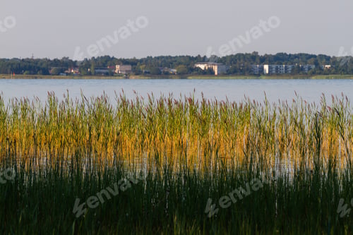 Preview: Muhu Island Coastline