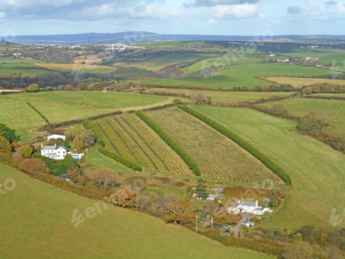 Preview: Fields In Wiltshire From Monks Down