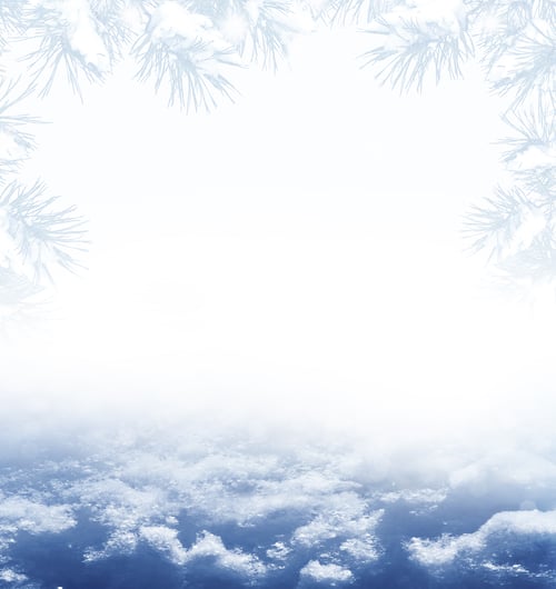 Preview: Christmas Card With Fir Branches. Winter Background.