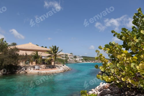 Preview: Lions Dive Resort Curacao Next To Sea Aquarium Caribbean Island Retreat