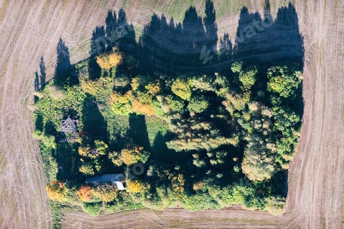Preview: Aerial View Over The Bushes And Trees In Autumn