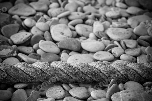 Preview: Old Marine Rope On The Pebble Beach