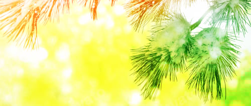 Preview: Forest In The Frost. Winter Landscape. Snow Covered Trees. Christmas Background.