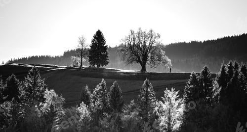 Preview: Misty Morning At Jamnik Hill In Slovenia.