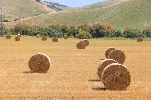 Preview: Harvest Time In Italy - Hay Bales On A Field In Basilicata Region.