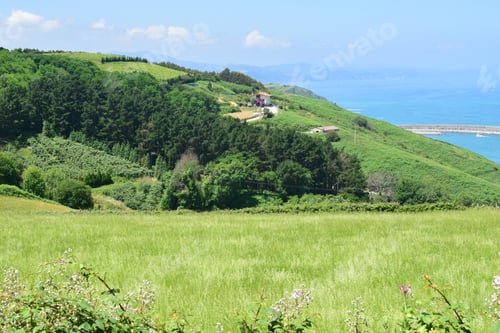 Preview: Meadows On The Basque Atlantic Coast