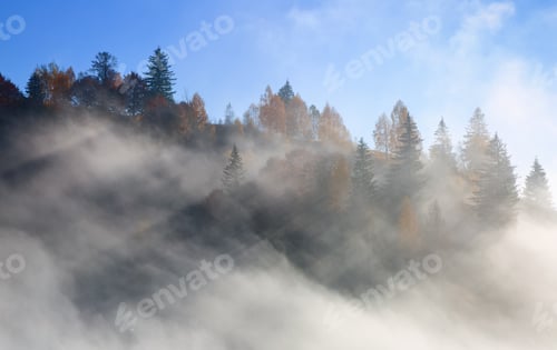 Preview: Landscape Of High Mountains And Forests. The Sun Rays Are Shining Through The Fog. Cold Autumn