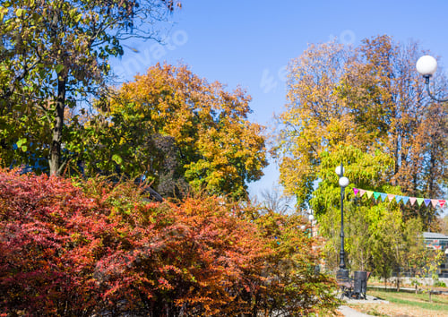 Preview: Autumn Urban Landscape On A Sunny Day - Yellow Autumn Trees In The Park, Colorful Red And Orange