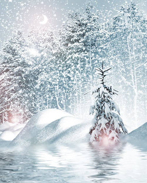 Preview: Winter. Snowfall.