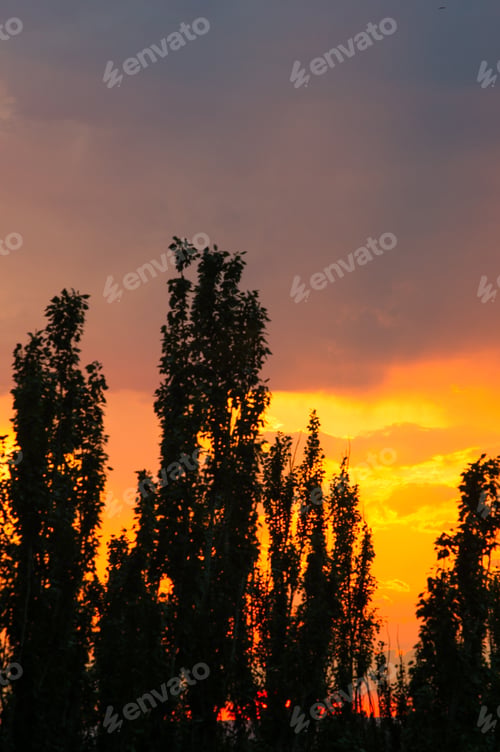 Preview: Landscape With Dramatic Light - Beautiful Golden Sunset With Saturated Sky And Clouds.