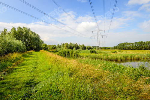 Preview: High Voltage Lines And Pylons In A Large Nature Reserve In The Netherlands. It'S A Sunny Day In The