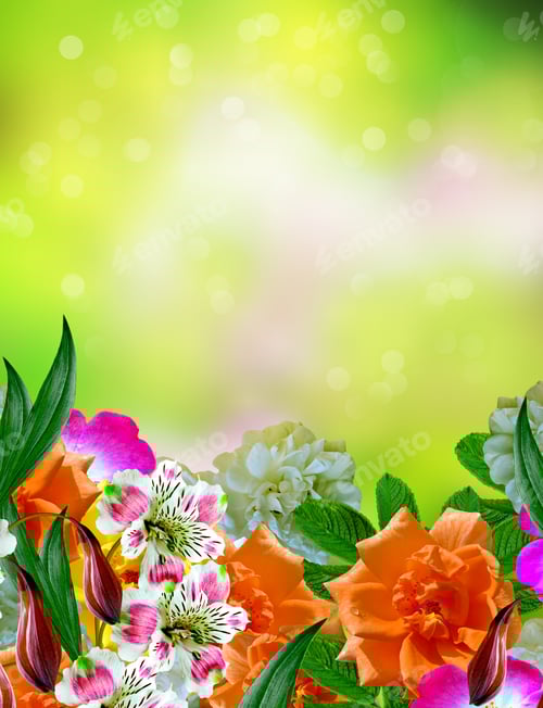 Preview: Colorful Floral Arrangement with Dreamy Green Background