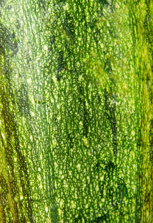 Preview: Texture Of The Peel Of The Zucchini, Closeup