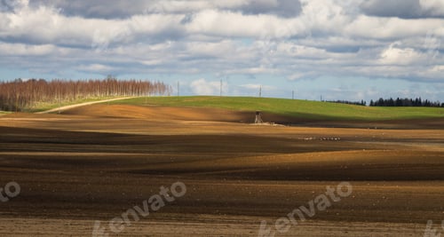 Preview: Processed Cereal Fields In Spring