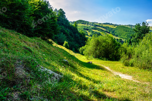 Preview: Asphalt Road Going In Mountains And Passes Through The Green Forest In Shade Of Clouds