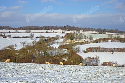 Preview: Looking Towards An Isolated Farm House Over A Snow Covered Landscape With Sheep Grazing In The Open