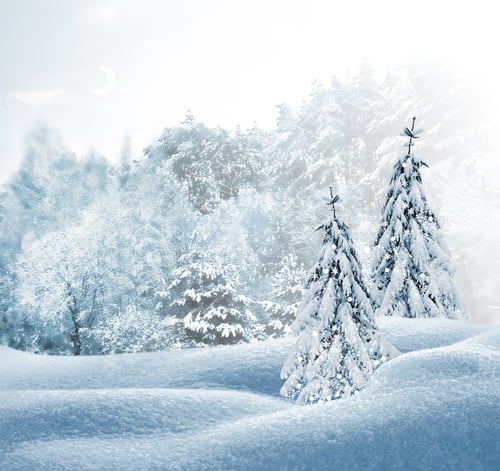 Preview: Winter Landscape
