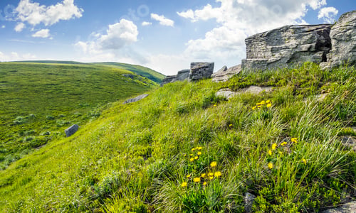 Preview: Mountain Summer Landscape. Meadow With Huge Boulders Among The Grass And Dandelion Flowers On Top
