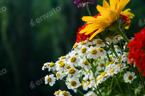 Preview: A Colorful Bouquet Of Bright Spring Flowers Of Various Types, Close-Up