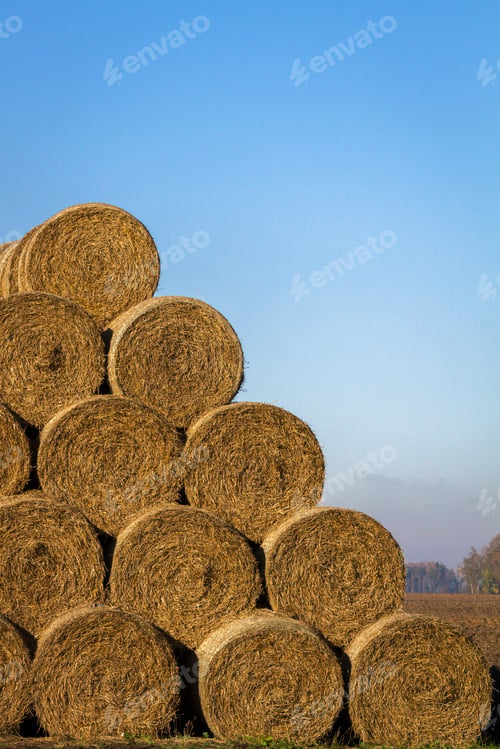 Preview: Hay Roll Stack On The Field