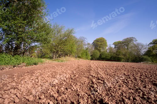 Preview: Arable Field Prepared For Sowing Crops