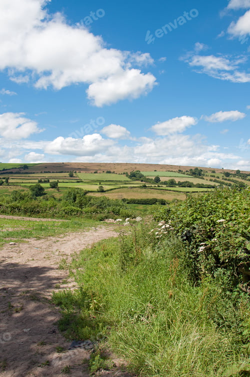 Preview: Hergest Ridge In England And Wales The Summertime.
