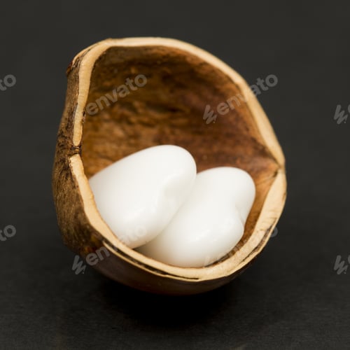 Preview: Hazelnut Shell With Heart Shaped Agate On Black Background