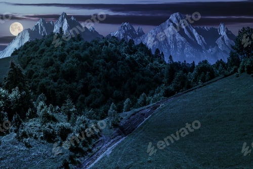 Preview: Footpath Uphill Through Forest On Hillside. Composite Landscape With High Tatrs Peaks At Night In