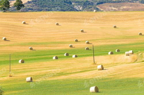 Preview: Tuscany Hills Landscape, Italy. Rural Italian Panorama.