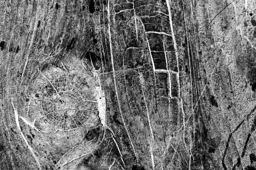 Preview: Wood Texture From Very Old, Weathered Piece Of Wood