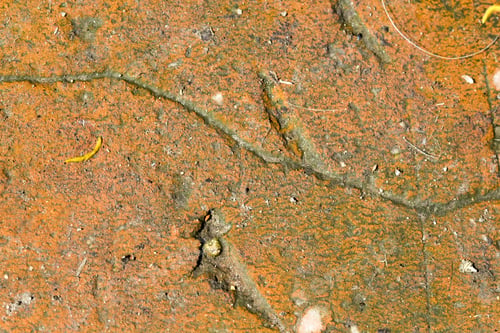 Preview: Old Brick Texture With Cracks