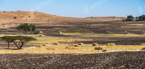 Preview: Landscape View On The Road From Gondar To The Simien Mountains, Ethiopia, Africa