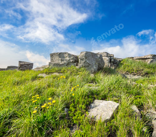 Preview: Yellow Dandelions In The Grass Among The Huge Rocks On Hillside In Morning Light