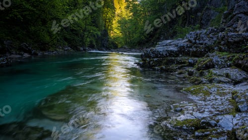 Preview: Spring In Vintgar Gorge In Slovenia