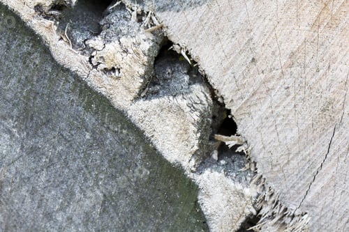 Preview: Wood Texture From Very Old, Weathered Pieces Of Tree Trunks With Tree Bark