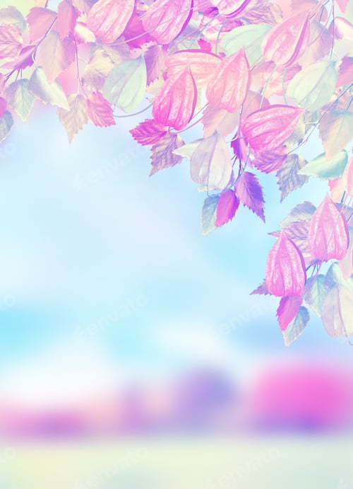 Preview: Bright Colorful Foliage On A Background Of The Autumn Landscape