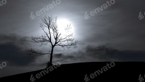 Preview: Trees And Mountains