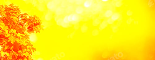 Preview: Autumn Landscape With Bright Colorful Leaves. Indian Summer.