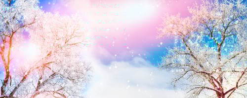 Preview: Frozen Winter Forest With Snow Covered Trees. Outdoor