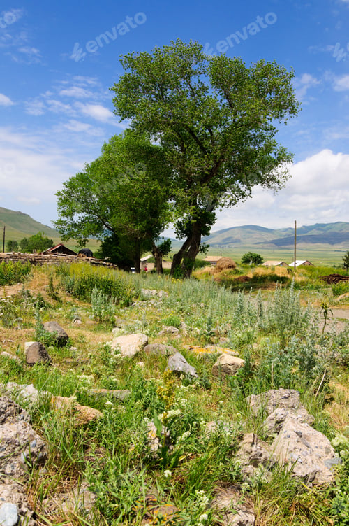 Preview: Rural Landscape