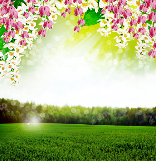 Preview: Summer Landscape