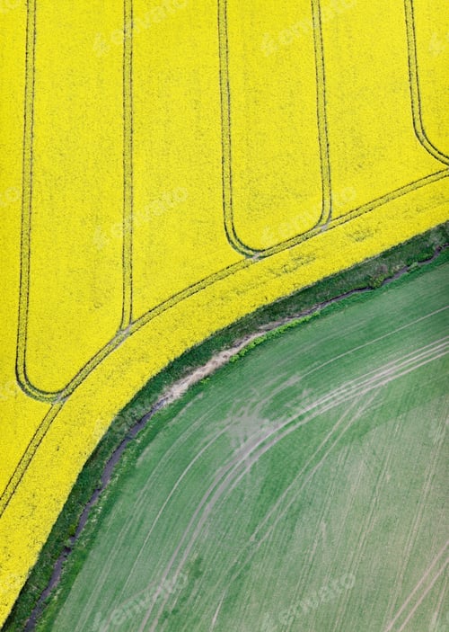 Preview: Aerial View Over The Rural Field