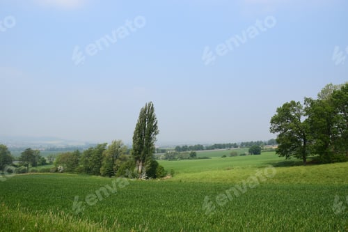 Preview: Landscape In The Weser Region/Lower Saxony
